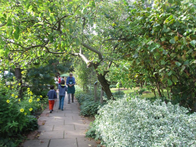 Guest enjoying the Gardens at a celebration