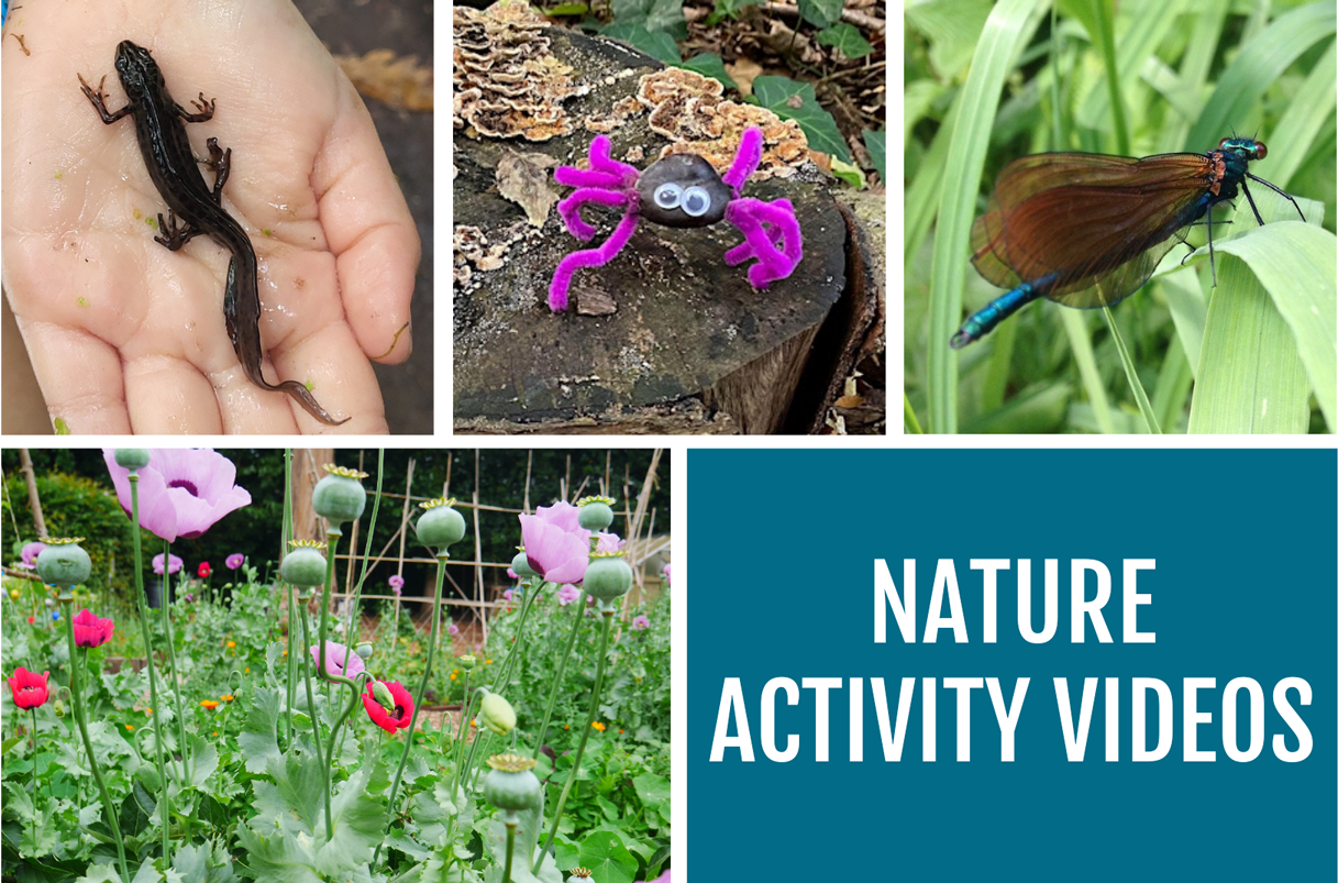 A collage of nature related images with a heading: Nature activity videos