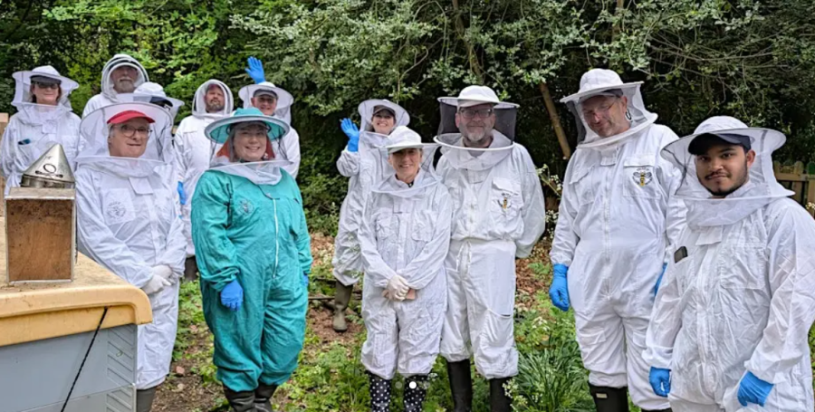 Beekeeping safari at Martineau Gardens